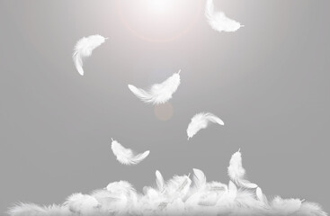 Abstract White Bird Feathers Falling on Floor. floating fluffy feathers. Softness of Feather on Gray Background.