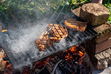 Rustic cottage core garden barbecue