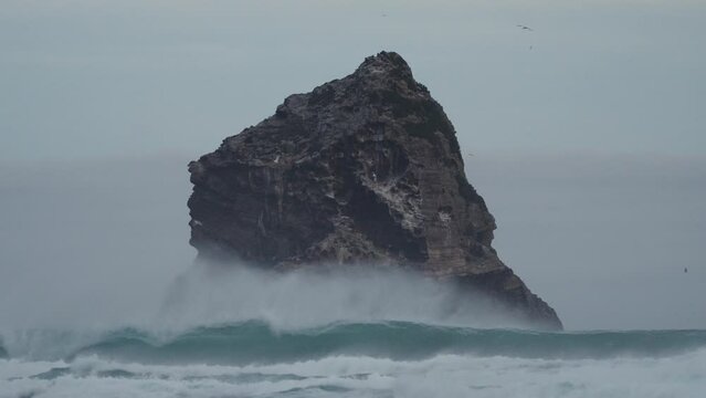 Swell Crashing Onto The Lion's Head Rock During A Storm In Sandfly Bay, Dunedin, New Zealand. 