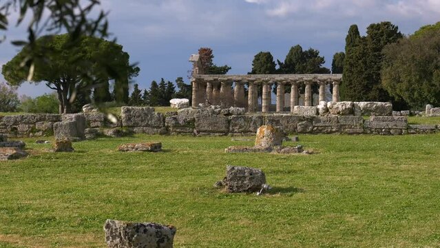 Rack focus shot first focused on some olive tree branches and then focused on the Greek temple of Athena in the background. This temple is located in Paestum in southern Italy.