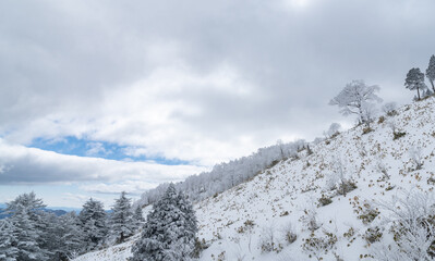 雪に覆われた山　富士見台高原