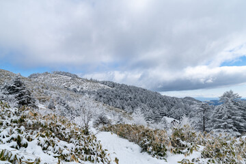 雪に覆われた山　富士見台高原