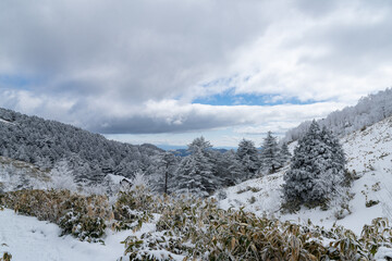 雪に覆われた山　富士見台高原