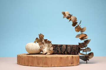 Autumn presentation for product. Wooden stumps, pumpkin and golden leaves on color background