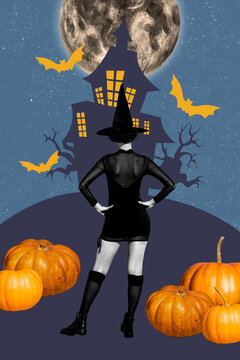 Vertical composite creative photo collage of brave witch stand turned with her back look at mystery house isolated on painted background