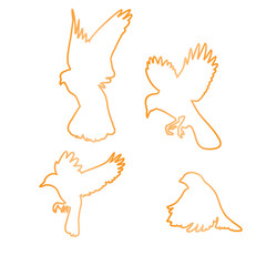 art line of bird