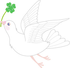 白い鳩