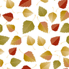 Multicolored autumn seamless pattern of autumn birch leaves on a white or transparent background