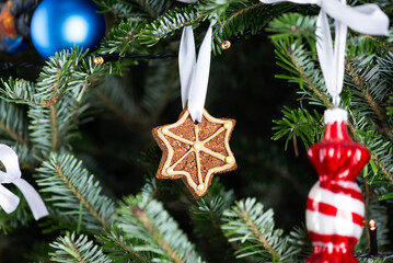 Gingerbread in the form of a Star of David on the Christmas tree. Gluten, lactose and sugar free.