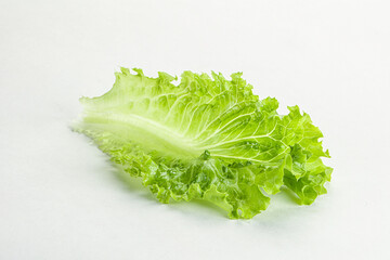 Ripe green salad lettuce leaf