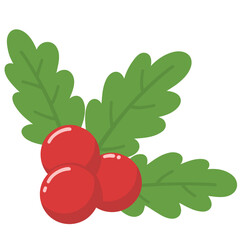 Christmas berry