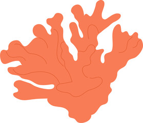 Obraz premium ocean coral