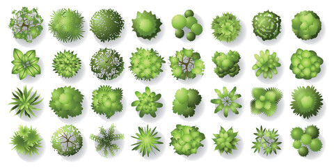 Trees top view. Different plants and trees vector set for architectural or landscape design. (View from above) Nature green spaces. Vector illustration. - 660932497