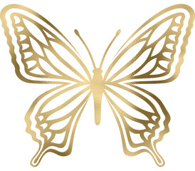 goldener Schmetterling, Falter mit transparentem Hintergrund 