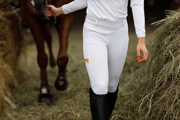 Rolgordijnen Female rider jockey walking with horse at stable and preparing horse racing or jumping competition © primipil