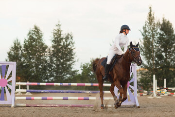 Dressage horse and rider in uniform during equestrian jumping competition