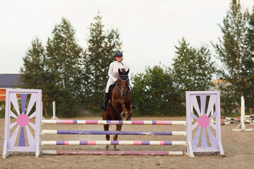 Dressage horse and rider in uniform during equestrian jumping competition