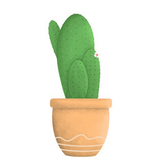 Cactus illustration Cactus illustration 