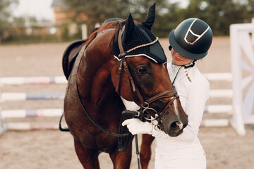 Dressage horse and jockey rider in uniform portrait during equestrian jumping competition show - 660938898