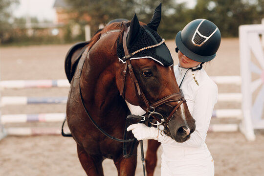Dressage horse and jockey rider in uniform portrait during equestrian jumping competition show