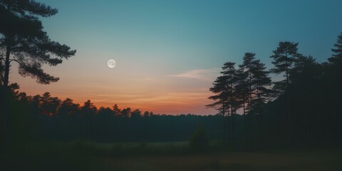 Picturesque evening sky with moon over forest. generative AI