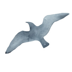 Seagull bird silhouette watercolor illustration. Hand drawn gull sea, ocean marine avian image. Lesser black-backed gull illustration. Beautiful seagull element on white background