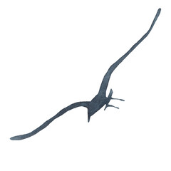 Fototapeta premium Seagull bird silhouette watercolor illustration. Hand drawn gull sea, ocean marine avian image. Lesser black-backed gull illustration. Beautiful seagull element on white background