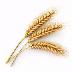 Wheat ears isolated on white background. Package design element with clipping path. Full depth of field