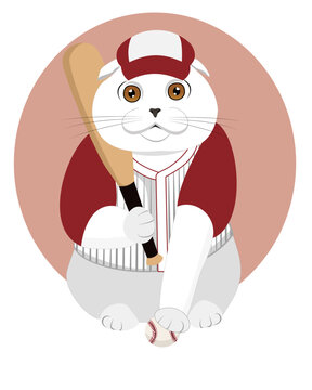 baseball cat with baseball bat on white background. vector illustration.