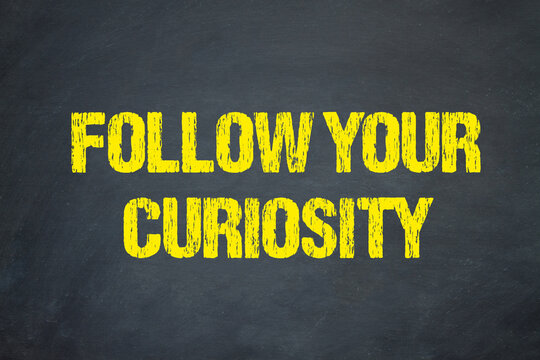 Follow your curiosity	