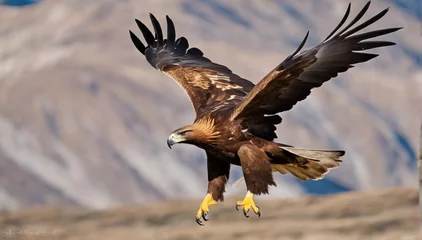 Zelfklevend Fotobehang Golden eagle flying. © Laiba Rana