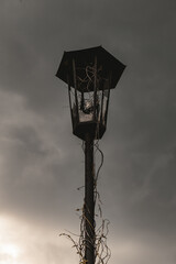 A broken lamppost overgrown with grass against a cloudy sky