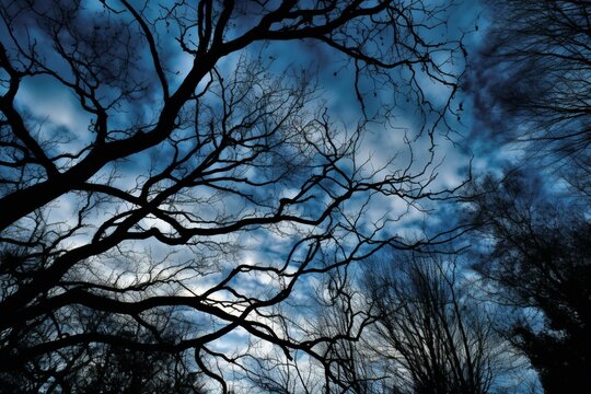 blue sky with misty clouds and tree branches interwoven. Generative AI