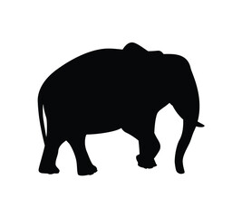 Black silhouette of elephant, elefant isolated on white background