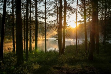 Beautiful sunrise over a tranquil lake in a wooded area.