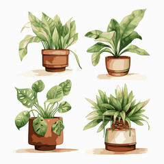 set of plants background watercolour