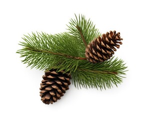 Fototapeta na wymiar Christmas Pine Branch. Close-up Isolated Spruce Tree Branch with Cones on White Background. Festive Sprig for Christmas and New Year.