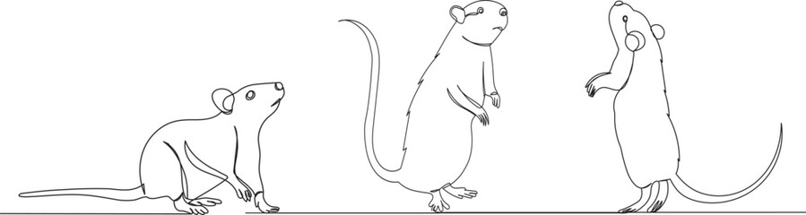 sketch of a rat, mouse line drawing, isolated vector