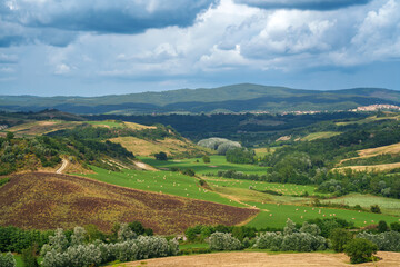 Rural landscape in Val d Orcia, Tuscany, at summer