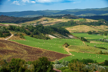Rural landscape in Val d Orcia, Tuscany, at summer