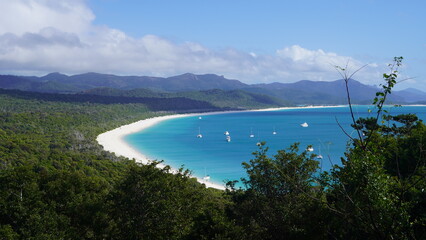 white haven beach view from the mountain