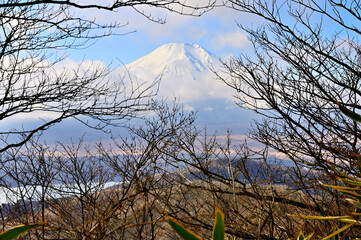 道志山塊の小天狗より望む富士山
