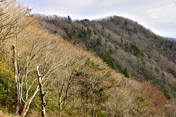 道志山塊の石割山より大天狗と小天狗を望む
