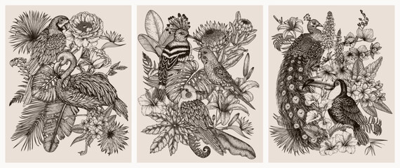 Set of 3 vector posters. Tropical garden with exotic birds. Macaw parrot, toucan, hoopoe, peacock, flamingos, budgie and cockatiel parrot in engraving style