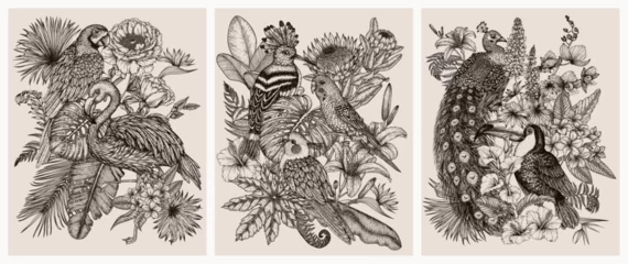 Fotobehang Set of 3 vector posters. Tropical garden with exotic birds. Macaw parrot, toucan, hoopoe, peacock, flamingos, budgie and cockatiel parrot in engraving style © Viktoriia Holovko