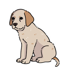 Labrador retriever puppy white dog sitting on transparent background 