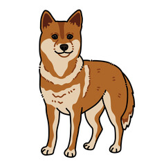 Shiba Inu dog standing on transparent background illustration 
