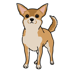 Chihuahua small dog standing illustration, on transparent background