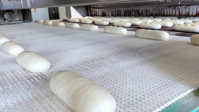 Big bakery bread industrial production line. Fresh bread dough entering the Bread Baking Furnace. Conveyor Belt of Industrial Bread Baking Tunnel
