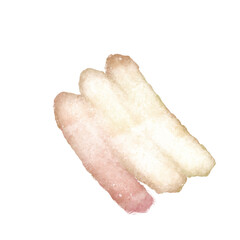 Scribble Brushstroke Watercolor Line